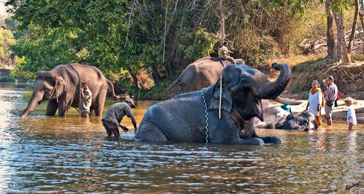 Coorg Sightseeing Tour Package from Chennai
